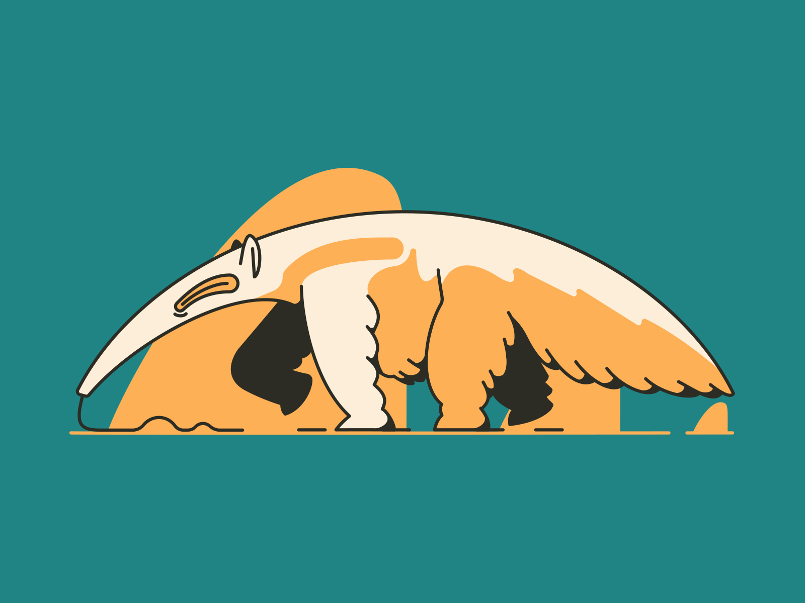 Anteater by Rob Armbrister on Dribbble