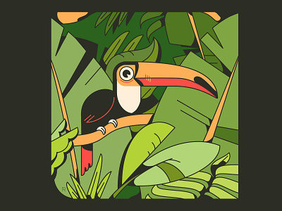 Toucan animals bird character design foliage illustration jungle toucan toucans vector vector animal