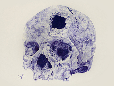 Skull sketch 3 anatomy ballpoint drawing pen sketch skull