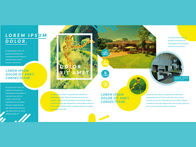 brochure for a new brand