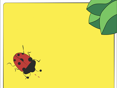 ladybug