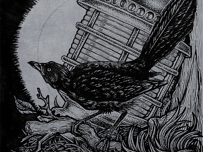 Blackbird Illustration illustration pen and ink