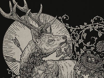 The Hart and Vine deer fable illustration pen and ink