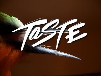 Hand Lettering Practice bird font handletter letter practice taste typography