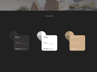 Real estate development firm rebrand - color options