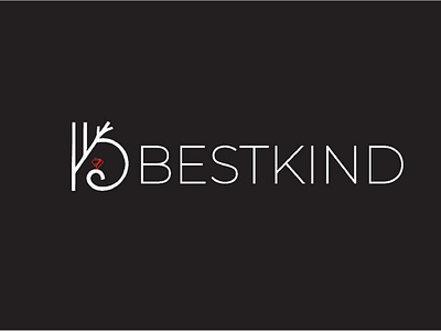 BestKind Logo Design (2021) branding design graphic design illustration logo mascot minimal signature typography vector