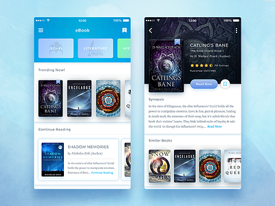 Conceptual eBook App UI