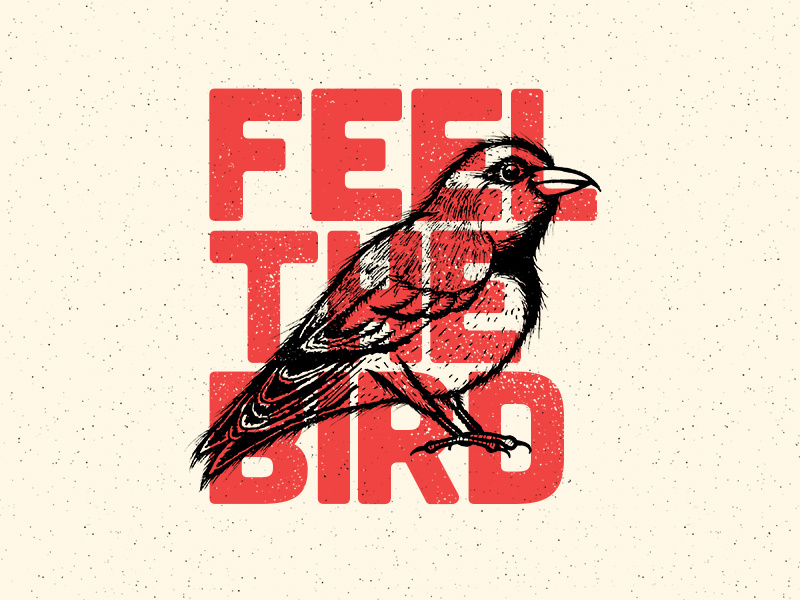 Feel The Bird handdrawn design typography type draw illustration bird birdiesanders