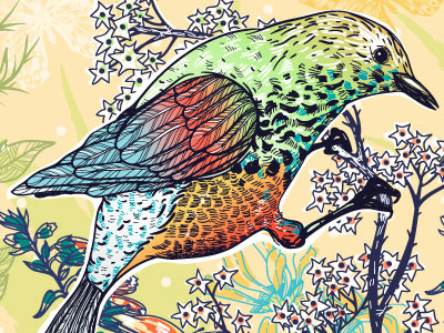 Detailed Bird illustration vector graphic