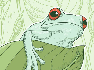 Frog illustration vector graphic