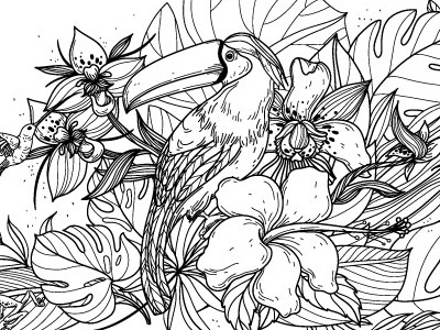 Tropical coloring book illustration vector