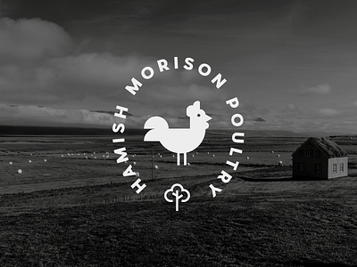 Morison Poultry Ltd. branding chicken design graphic design icon logo logo design mark poultry type typography vector