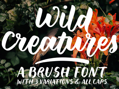 Wild Creatures - Free Brush Font