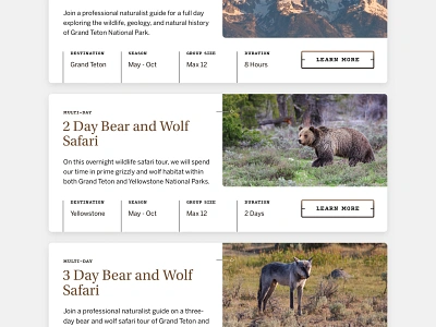 Jackson Hole Wildlife Safaris — 4 𝑜𝑓 9 bear card clean expedition grand teton grey jackson hole natural tour travel ui web web design website wild wilderness wildlife wolf yellowstone