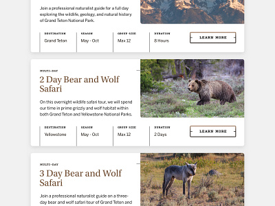 Jackson Hole Wildlife Safaris  —  4 𝑜𝑓 9