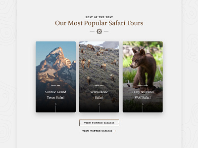 Jackson Hole Wildlife Safaris — 2 𝑜𝑓 9 bear cards cards ui clean grey icons luxury mountain outdoor portrait safari topographic tour tourisminindia travel ui wildlife