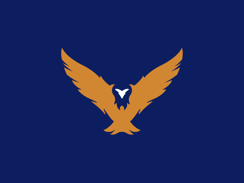 Aerie Homes — 1 𝑜𝑓 2 aerie bird boston boston graphic designer branding design eagle home illustration logo