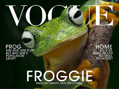 Vogue Frog adobe adobe illustrator art artist avant garde gothic design designer frog frogs futura graphic design illustration illustrator layout magazine model shape builder typography vector vogue