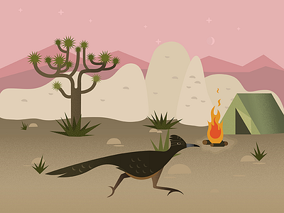 Joshua tree aloe bird desert fire illustration joshuatree roadrunner sunset tent texture vector