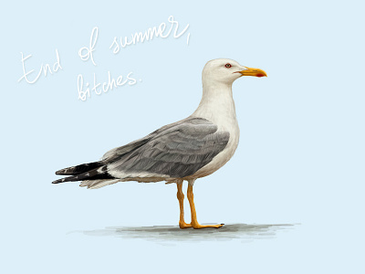 Summertime. animals bird crow exotic jungle nature ocean ornithology poster sea seagull