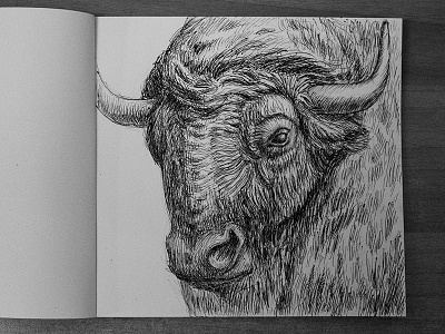 Bull. Inktober animals bison bull cow ink inktober inktober2017 nature sketch wildlife zoological