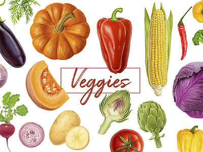 Veggies. Vector artwork. artichoke cabbage drawing food healthy nature vector vegetable vegetarian veggies