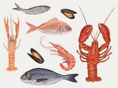 Seafood. Vector hand drawn illustration. cafe crab fish fish logo lobster menu mussels oyster restaurant sea creature seafood shark shrimp