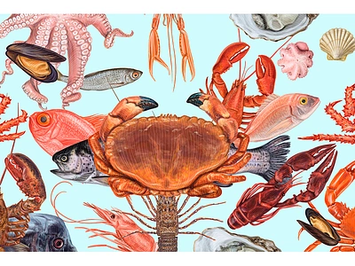 Seafood illustration animals crab fish lobster menu mussels nature ocean octopus restaurant sea sea creature sea food shrimp