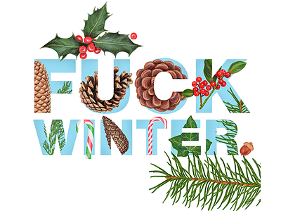 Today is the first day of winter! Fuck Winter! branch candy cane christmas cone decoration festive fuck gift mistletoe new year snow winter