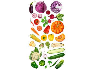 Veggies beetroot broccoli cabbage colorful exotic fresh fruit hand drawn juice orange packagedesign potato rainbow red shop vector vegetable water colors watercolor yellow