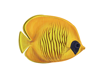 Yellow fish asia colorful exotic fish ocean sea tropical yellow