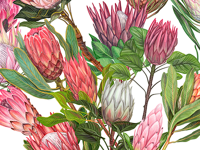 Love blossom with protea flowers