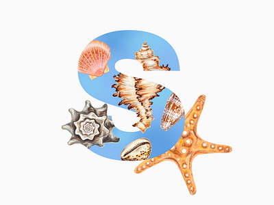 Sea Letter animals aquatic collection coral exotic many marine sea seashell shell summer texture seashell tropical variety
