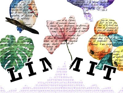 Limit: a visual representation art collage procreate words