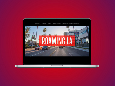 Roaming LA Website branding information architecture responsive ui ux video