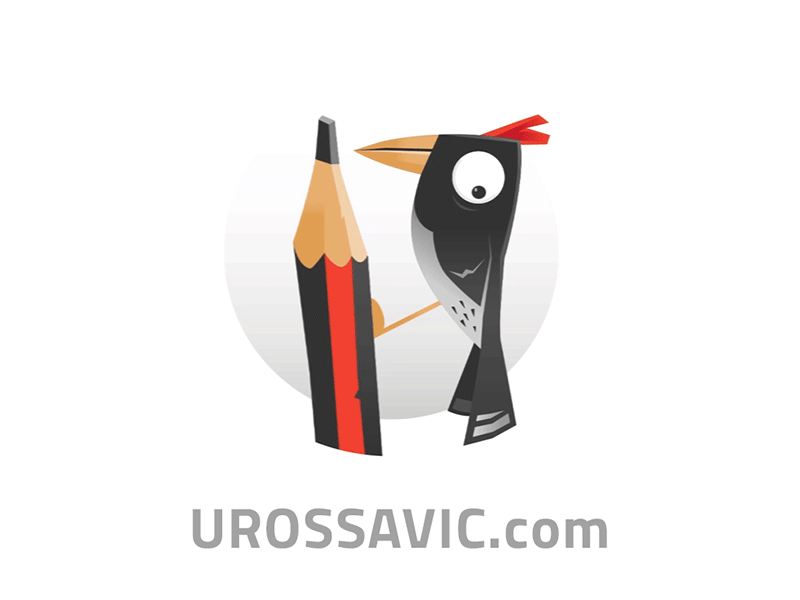 Woodpecker Animation animation black cartoon designer gif illustration pencil red vector woodpecker