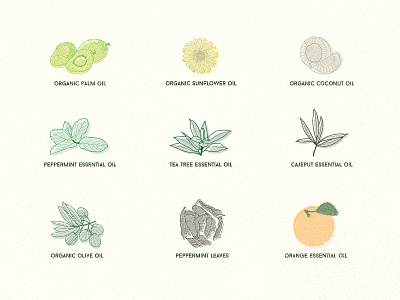 Ingredient list art artwork design illustration natural organic plants soap vector illustration vectorart