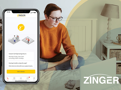 Zinger branding design ui