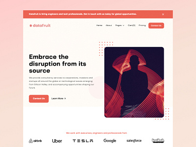 Datafruit Website Design branding design ui ux web design website