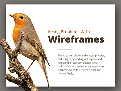 Bird animal bird clean landing landing page minimal site typography website wwf