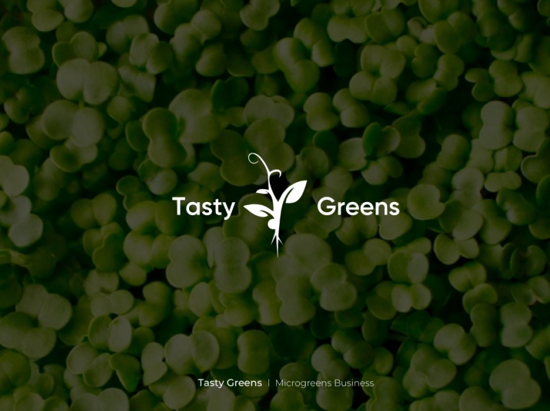 Logo for the microgreens business branding design graphic design illustrator logo vector