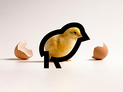 Minimal Chick Design animal branding character chick chick logo chicken chicken logo design graphic design illustration lineart logo mascot minimal vector
