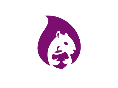 Squirrel logo design