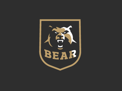 Bear animal bear logo sport sports symbol