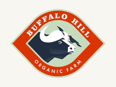 Buffalo Hill Logo animal bird bird icon bird logo branding buffalo design farm hillside logo mark mascot organic ranch symbol vector