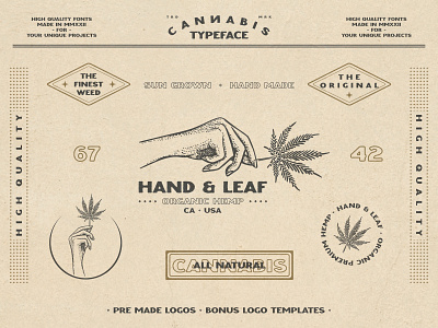 CANNABIS vintage font branding cannabis cbd design fat hamster font font design hemp illustration joint logo typeface typeface design