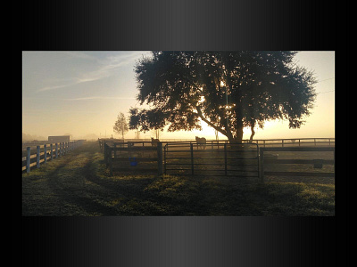 Equestrian fencing photo for website graphic design photography web design