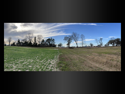 Land clearing business photo for site (before/after)