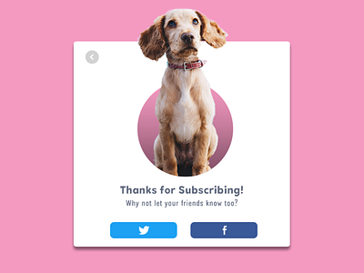 Social Share #10 - DogsLife app typography ui ux