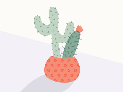 Urban Cactus